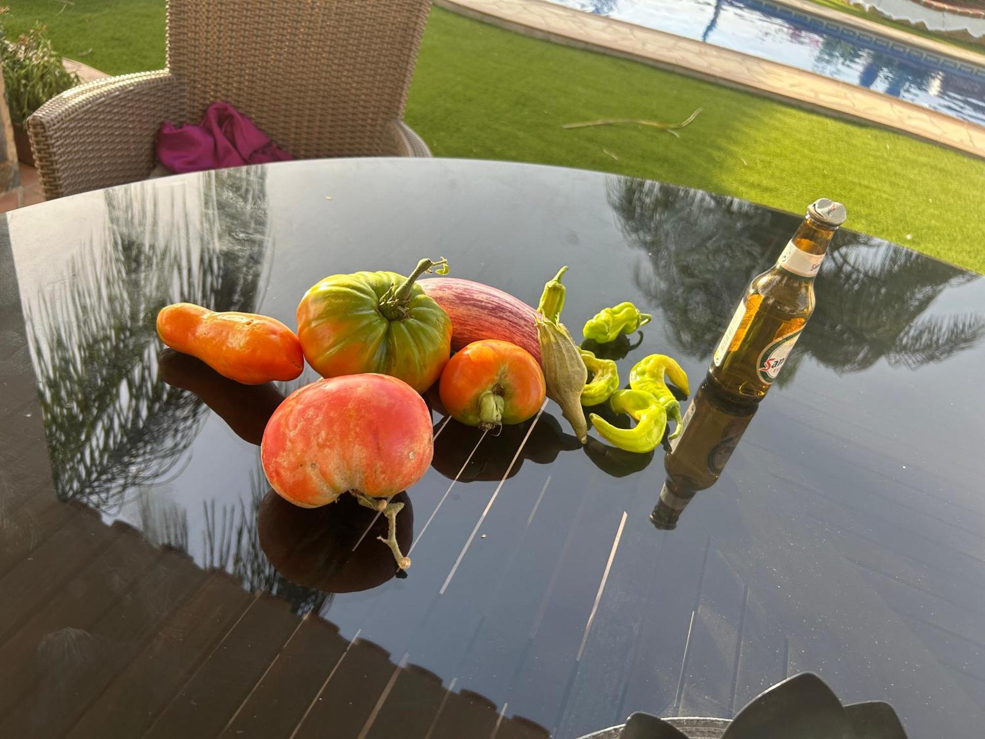 Shays Superb Gorgeous Private Pool, Coin, Malaga, Spain Villa *